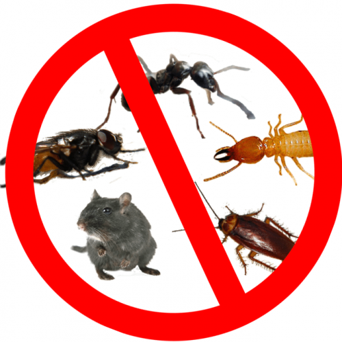 Category